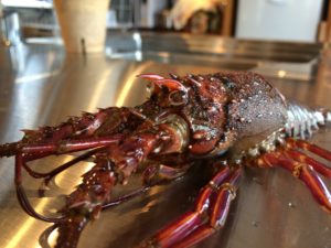 写真 2015-03-09 9 17 44