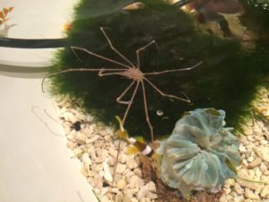 写真 2015-05-07 19 26 32