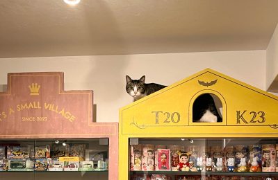 猫も楽しい仕掛け