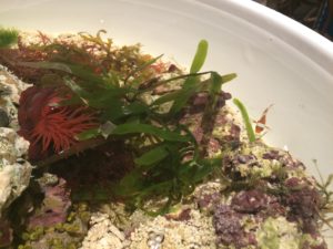 写真 2015-05-07 19 34 20