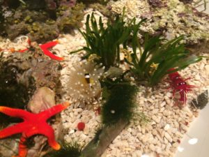 写真 2015-05-07 19 32 44